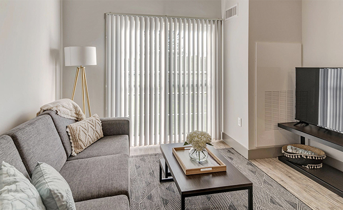 Furnished apartment interior