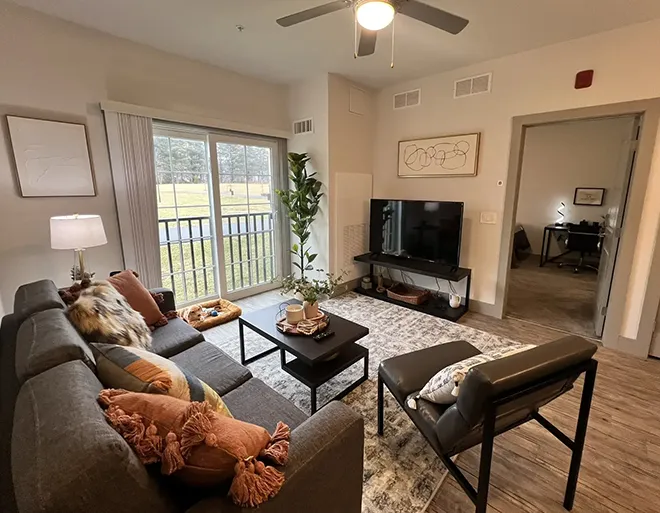 furnished apartment living space